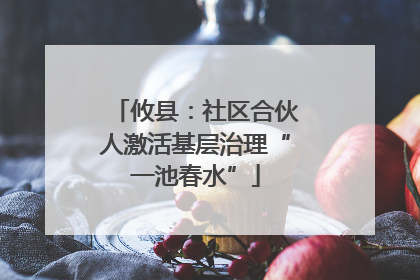 攸县：社区合伙人激活基层治理“一池春水”