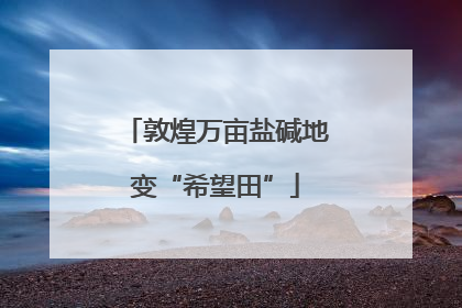 敦煌万亩盐碱地变“希望田”