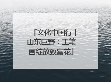 文化中国行丨山东巨野：工笔画绽放致富花