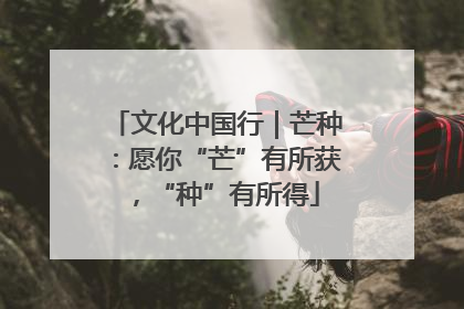 文化中国行｜芒种：愿你“芒”有所获，“种”有所得