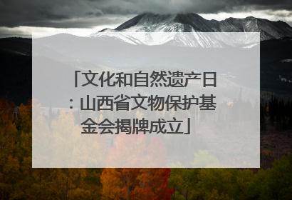 文化和自然遗产日：山西省文物保护基金会揭牌成立