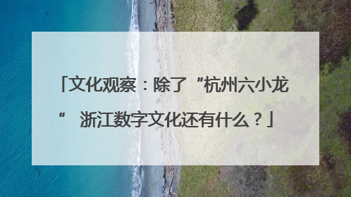 文化观察:除了“杭州六小龙” 浙江数字文化还有什么?