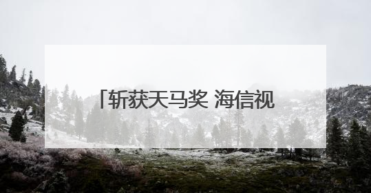 斩获天马奖 海信视像投资者关系管理获资本市场高度认可