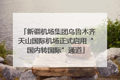 新疆机场集团乌鲁木齐天山国际机场正式启用“国内转国际”通道