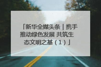 新华全媒头条｜携手推动绿色发展 共筑生态文明之基（1）
