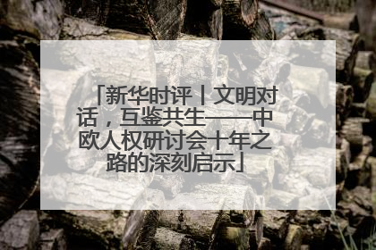 新华时评丨文明对话，互鉴共生——中欧人权研讨会十年之路的深刻启示