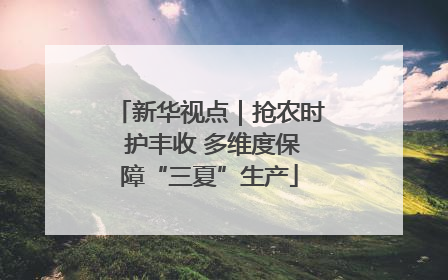 新华视点｜抢农时 护丰收 多维度保障“三夏”生产
