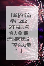 新桥街道举行2025年民兵点验大会 锻造国防建设“拳头力量”