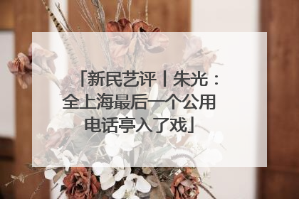 新民艺评丨朱光：全上海最后一个公用电话亭入了戏