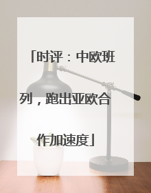 时评：中欧班列，跑出亚欧合作加速度