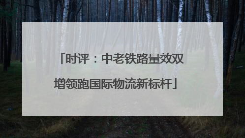 时评：中老铁路量效双增领跑国际物流新标杆