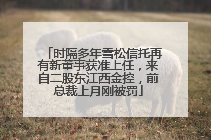 时隔多年雪松信托再有新董事获准上任，来自二股东江西金控，前总裁上月刚被罚