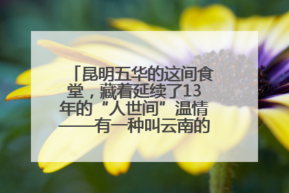 昆明五华的这间食堂，藏着延续了13年的“人世间”温情——有一种叫云南的生活之365天