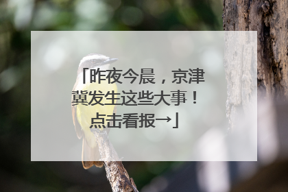昨夜今晨，京津冀发生这些大事！点击看报→