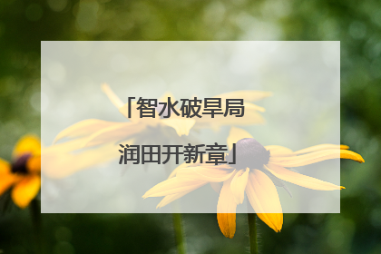 智水破旱局 润田开新章