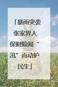 暴雨突袭 张家界人保财险闻“汛”而动护民生
