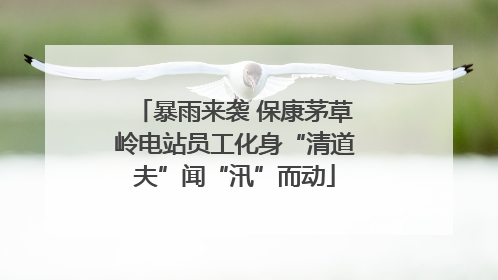 暴雨来袭 保康茅草岭电站员工化身“清道夫”闻“汛”而动