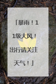 暴雨！11级大风！出行请关注天气！