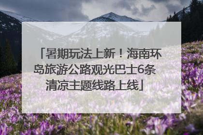 暑期玩法上新！海南环岛旅游公路观光巴士6条清凉主题线路上线