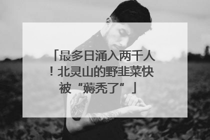 最多日涌入两千人！北灵山的野韭菜快被“薅秃了”