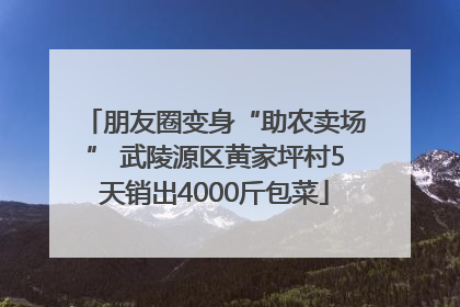 朋友圈变身“助农卖场” 武陵源区黄家坪村5天销出4000斤包菜