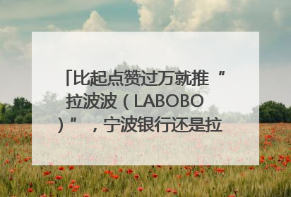 比起点赞过万就推“拉波波（LABOBO）”，宁波银行还是拉业绩吧｜财经辣评