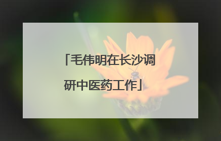 毛伟明在长沙调研中医药工作