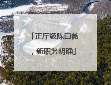 正厅级陈白薇，新职务明确