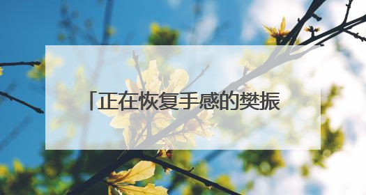 正在恢复手感的樊振东，一天四战全胜