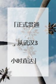 正式贯通，从武汉3小时直达