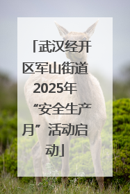 武汉经开区军山街道2025年“安全生产月”活动启动