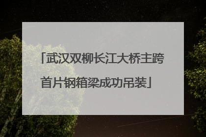 武汉双柳长江大桥主跨首片钢箱梁成功吊装