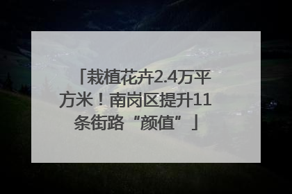 栽植花卉2.4万平方米！南岗区提升11条街路“颜值”