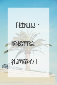 桂阳县：阶梯育德 礼润童心