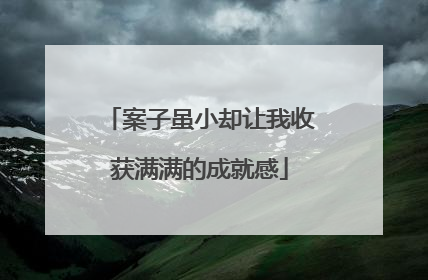 案子虽小却让我收获满满的成就感