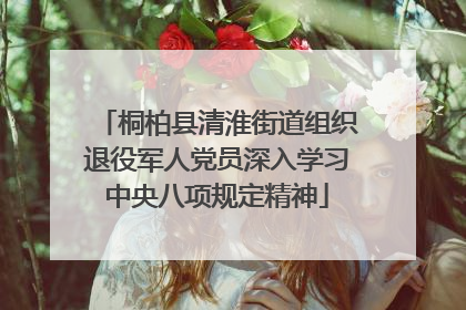 桐柏县清淮街道组织退役军人党员深入学习中央八项规定精神