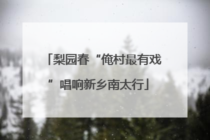 梨园春“俺村最有戏”唱响新乡南太行