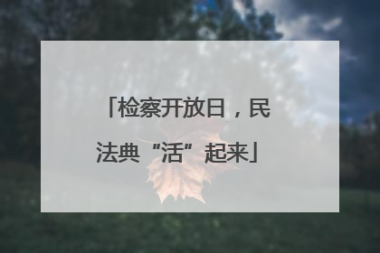 检察开放日，民法典“活”起来