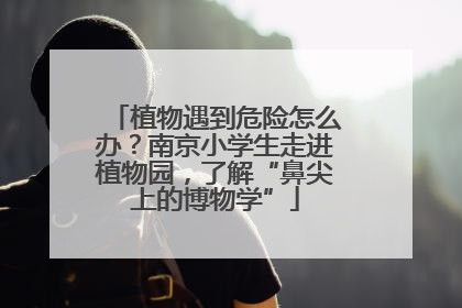 植物遇到危险怎么办？南京小学生走进植物园，了解“鼻尖上的博物学”