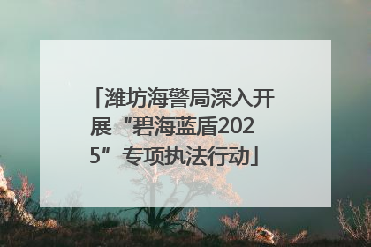 潍坊海警局深入开展“碧海蓝盾2025”专项执法行动