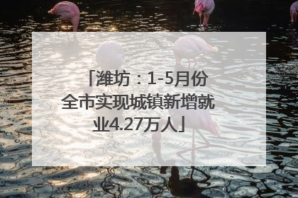 潍坊：1-5月份全市实现城镇新增就业4.27万人