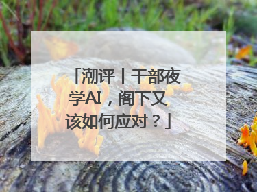 潮评丨干部夜学AI，阁下又该如何应对？