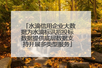 水滴信用企业大数据为水滴标讯招投标数据提供底层数据支持开展多类型服务