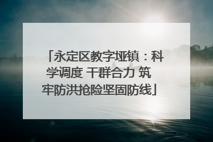 永定区教字垭镇：科学调度 干群合力 筑牢防洪抢险坚固防线