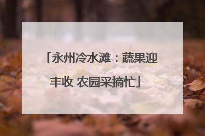 永州冷水滩：蔬果迎丰收 农园采摘忙