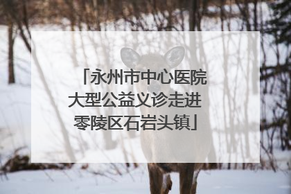 永州市中心医院大型公益义诊走进零陵区石岩头镇
