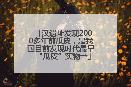汉遗址发现2000多年前瓜皮，是我国目前发现时代最早“瓜皮”实物→