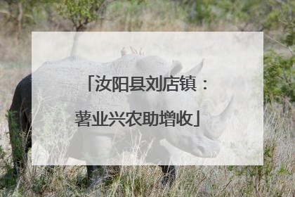 汝阳县刘店镇：薯业兴农助增收