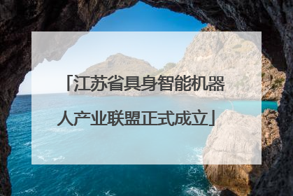 江苏省具身智能机器人产业联盟正式成立