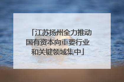 江苏扬州全力推动国有资本向重要行业和关键领域集中